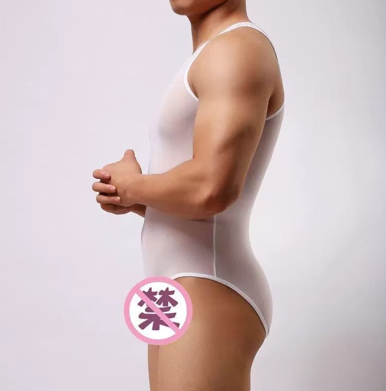 Men's sexy triangular mesh transparent jumpsuit - BabyFansBabyFans